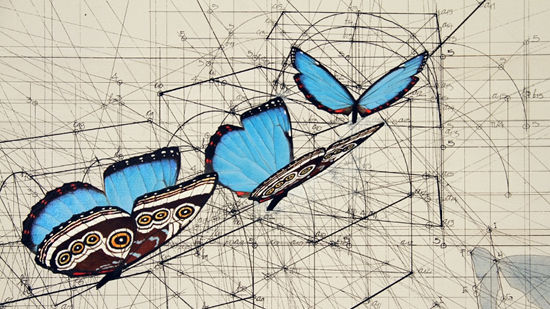 Trois papillons - Rafael Araujo